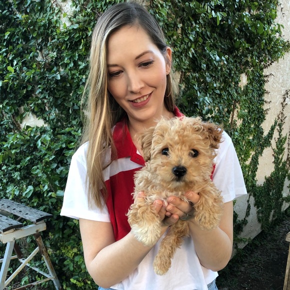 Meet your Posher - Picture 4 of 4